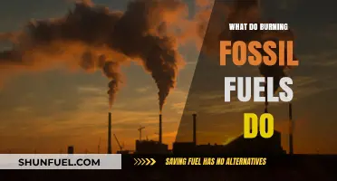Burning Fossil Fuels: Climate Impact, Pollution, and Environmental Consequences Explained