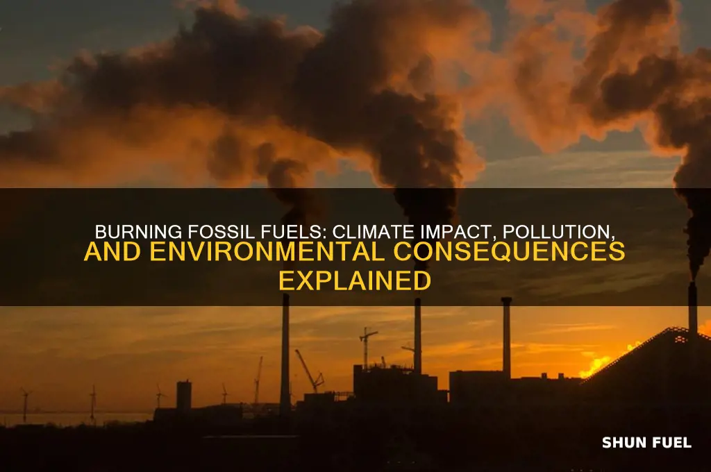 what do burning fossil fuels do