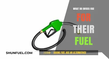 Exploring Bus Fuel Types: Diesel, Electric, and Alternative Options