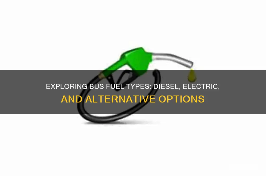 what do buses use for their fuel