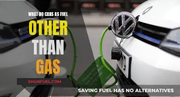 Alternative Fuels for Cars: Exploring Non-Gas Options