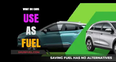 Exploring Car Fuel Types: Gasoline, Diesel, Electric, and Beyond
