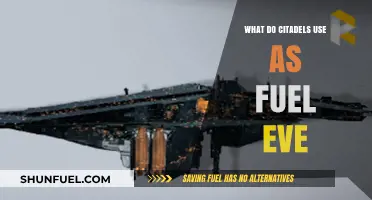Citadels in EVE Online: Fuel Sources and Energy Management Explained
