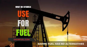 Powering Citadels: Unveiling the Fuel Sources Behind Their Strength