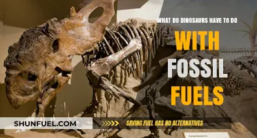 Dinosaurs, Ancient Carbon, and the Origins of Fossil Fuels