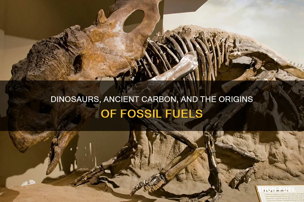 what do dinosaurs have to do with fossil fuels