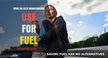 Elite Marathoners' Fuel Secrets: Strategies for Sustained Energy and Performance