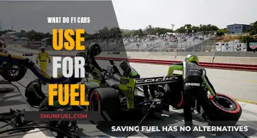 The Evolution of F1 Car Fuel: What's in the Tank?