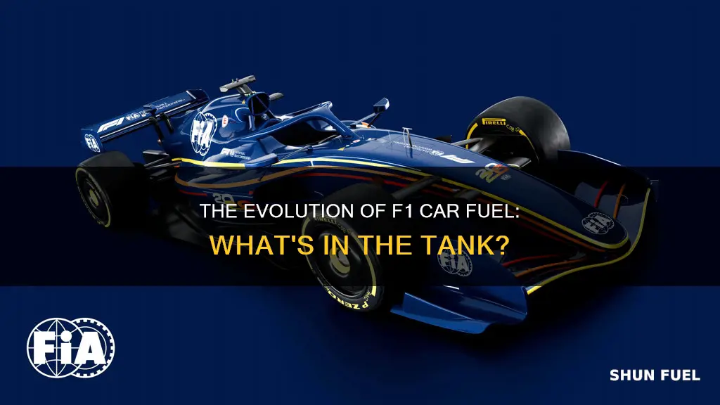 what do f1 cars use for fuel