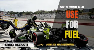 The Evolution of Fuel in Formula 1 Cars