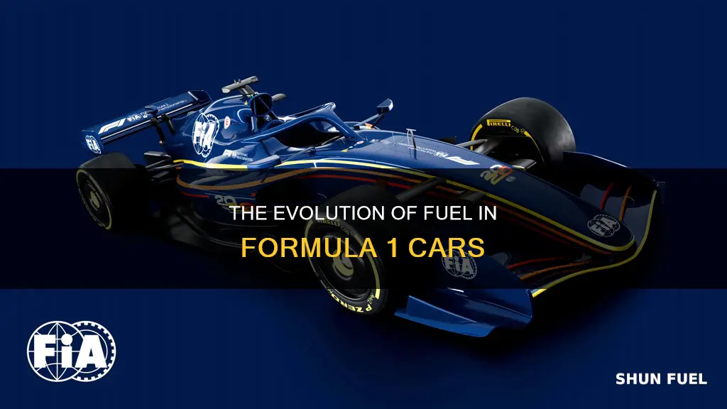 what do formula 1 cars use for fuel
