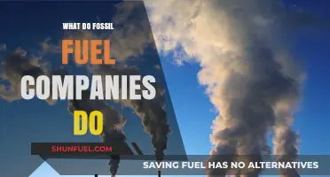 Unveiling the Operations: What Fossil Fuel Companies Actually Do
