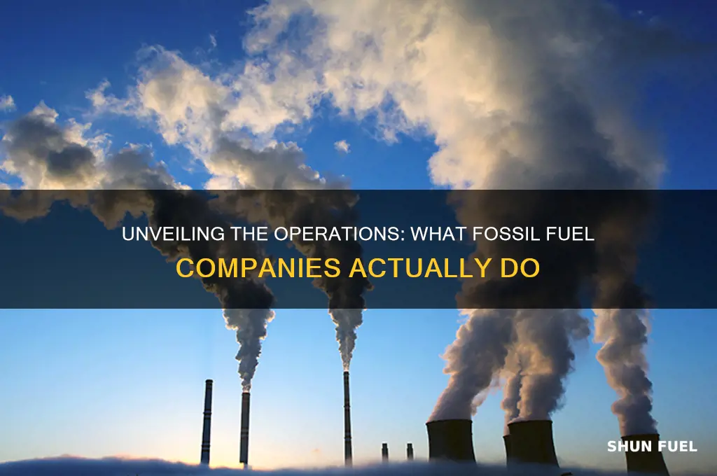 what do fossil fuel companies do