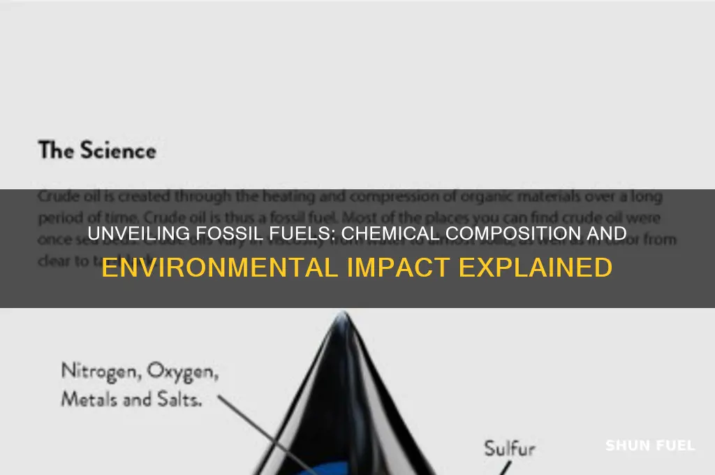 what do fossil fuel contains