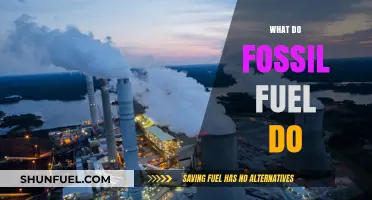 Fossil Fuels: Powering Our World, Harming Our Planet