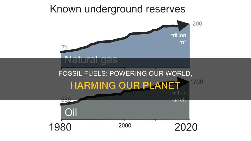 what do fossil fuel do