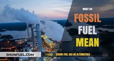 Understanding Fossil Fuels: Origins, Impact, and Future Alternatives Explained