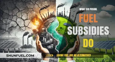 Fossil Fuel Subsidies: Impact on Climate, Economy, and Energy Transition