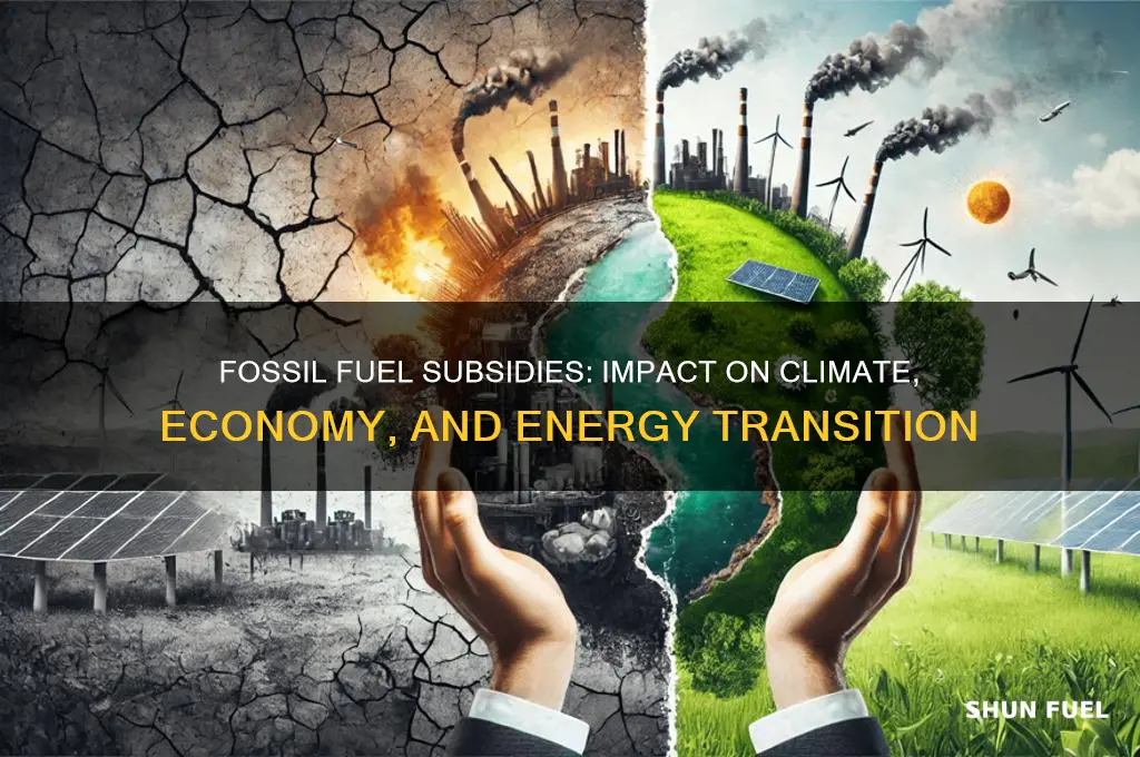 what do fossil fuel subsidies do