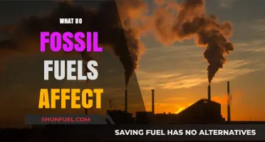 Fossil Fuels' Impact: Climate, Health, Economy, and Ecosystems Explained