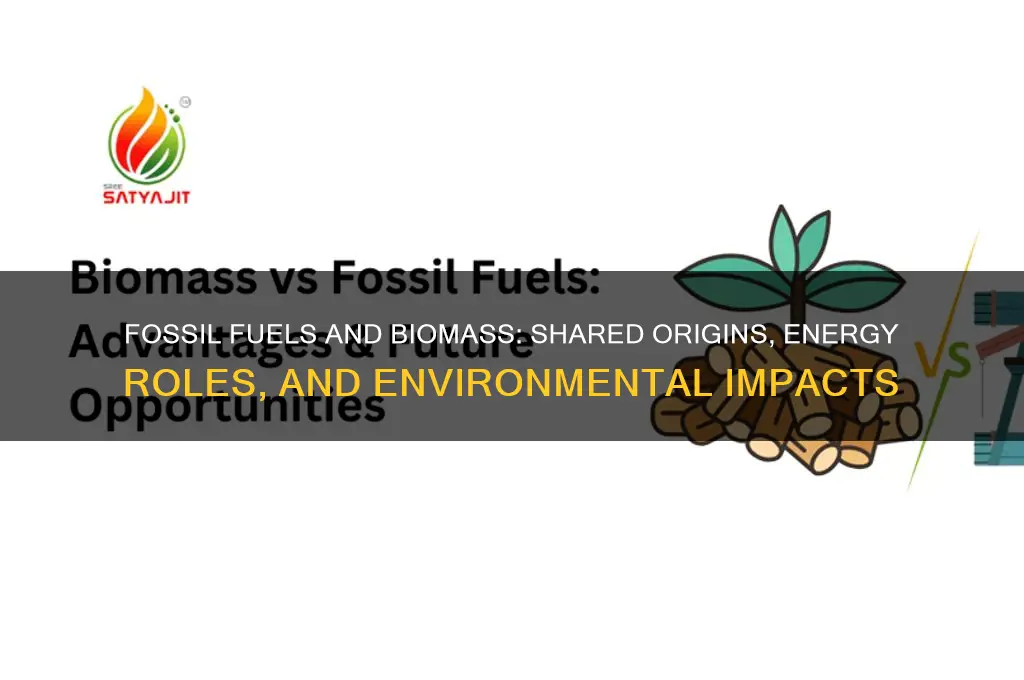 what do fossil fuels and biomass have in common