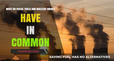 Fossil Fuels and Nuclear Energy: Shared Traits in Power Generation