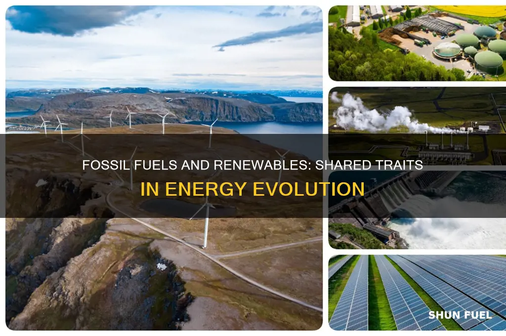 what do fossil fuels and renewable energy have in common