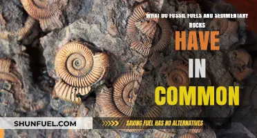 Fossil Fuels and Sedimentary Rocks: Shared Origins and Earth's History