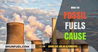 Fossil Fuels' Devastating Impact: Pollution, Climate Change, and Environmental Destruction