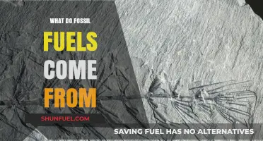 Uncovering the Ancient Origins of Fossil Fuels: A Comprehensive Guide