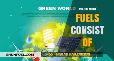 Unveiling Fossil Fuels: Chemical Composition and Energy Sources Explained