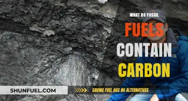 Unveiling Fossil Fuels: Carbon's Role in Coal, Oil, and Gas