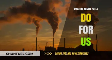 Fossil Fuels: Powering Our World, Shaping Our Future, and Impacting Our Planet
