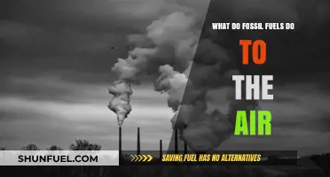 Fossil Fuels' Impact: Air Pollution, Climate Change, and Health Risks