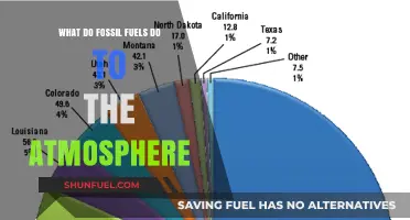 Fossil Fuels' Impact: How Emissions Alter Our Atmosphere and Climate