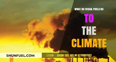 Fossil Fuels' Impact: Climate Change, Emissions, and Environmental Consequences