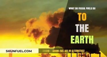 Fossil Fuels' Devastating Impact on Earth's Climate and Ecosystems
