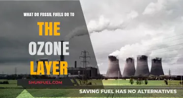 Fossil Fuels' Impact: How Emissions Threaten the Ozone Layer