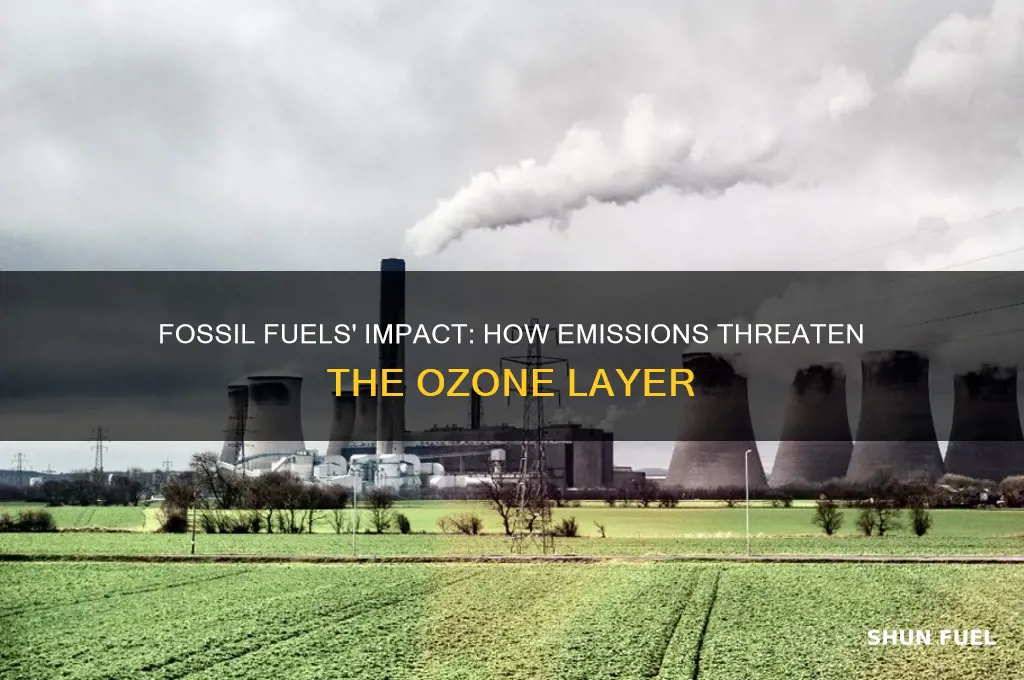 what do fossil fuels do to the ozone layer