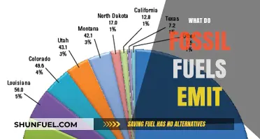 Fossil Fuels' Emissions: Unveiling the Hidden Environmental Impact