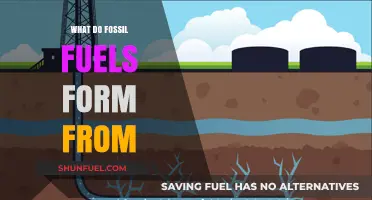 The Ancient Origins of Fossil Fuels: Uncovering Their Formation Process