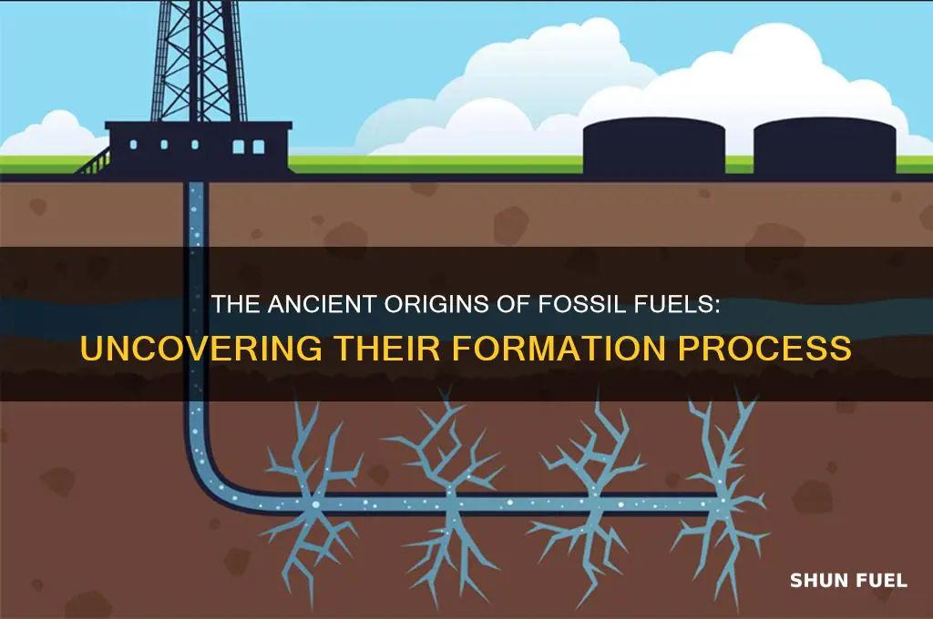 what do fossil fuels form from