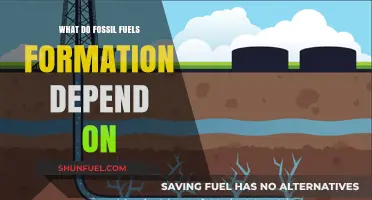 Understanding the Key Factors Behind Fossil Fuels Formation and Dependence