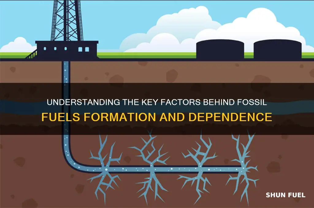 what do fossil fuels formation depend on