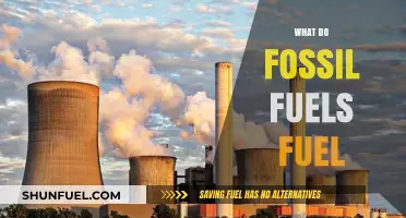 Fossil Fuels: Powering Industries, Transportation, and Daily Life