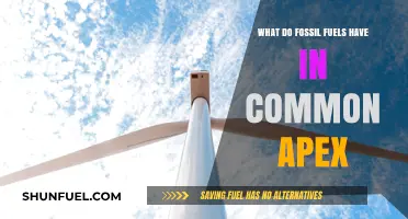 Fossil Fuels' Common Traits: Uncovering the Apex Connections