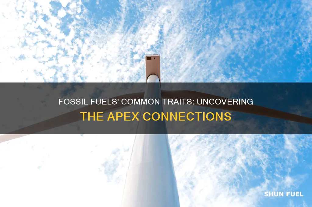 what do fossil fuels have in common apex