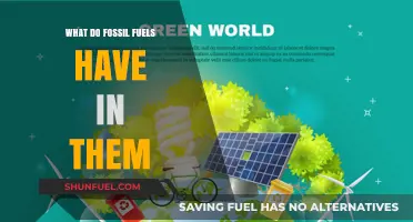 Unveiling Fossil Fuels: Chemical Composition and Energy-Rich Components Explained
