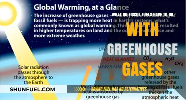 Fossil Fuels' Role in Greenhouse Gas Emissions Explained