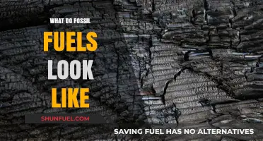 The Many Faces of Fossil Fuels